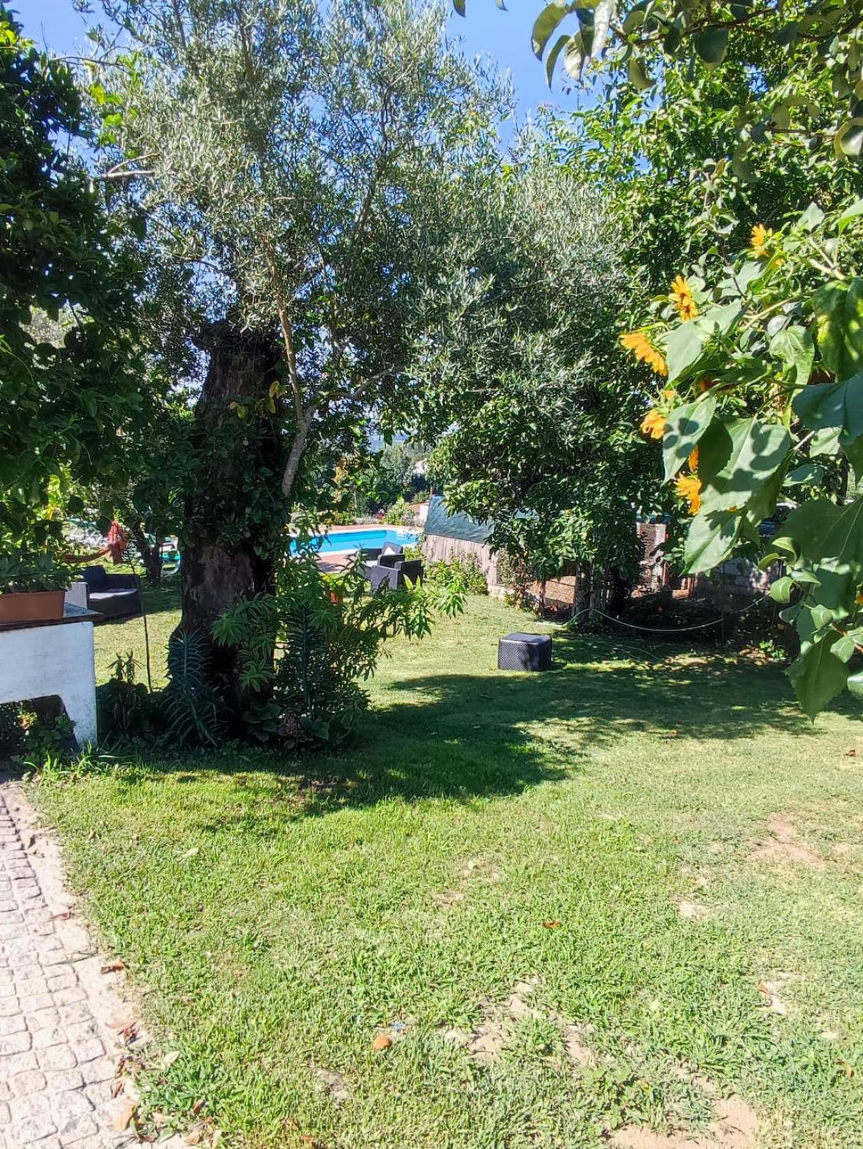 הוילה Prozelo Casa Matreiro מראה חיצוני תמונה